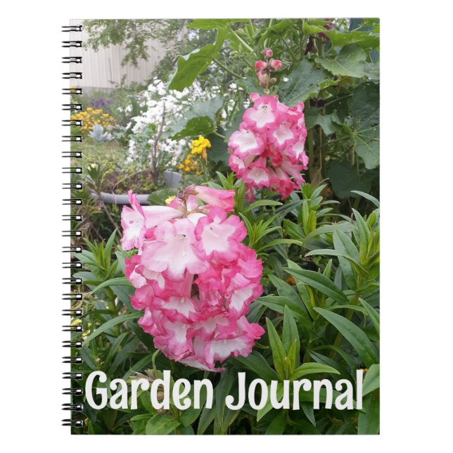 Cuaderno Flores de primavera de Penstemon rosado de Garden  (Frente)