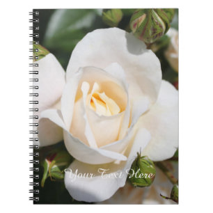 Cuaderno flores de rosa blanco puro bonito. amor, romance