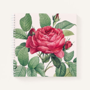 Cuaderno Flores de rosa roja con hojas verdes