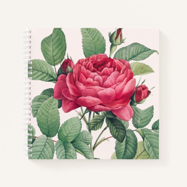 Cuaderno Flores de rosa roja con hojas verdes (Anverso)