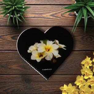 Cuaderno Flores de satén elegantes en negro