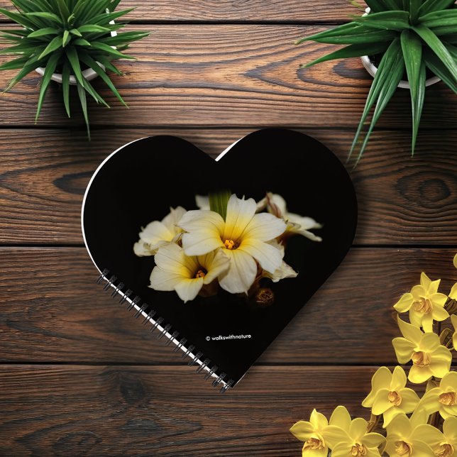 Cuaderno Flores de satén elegantes en negro (Elegant Satin Flowers on Black Journal Cover Photo)