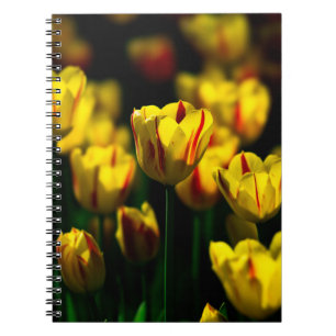 Cuaderno Flores de tulipán amarillas