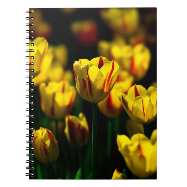 Cuaderno Flores de tulipán amarillas (Frente)