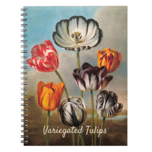 Cuaderno Flores de Tulipán Variados Vintage en un Paisaje
