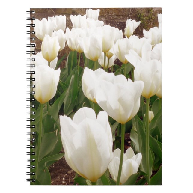 Cuaderno Flores de tulipanes blancos (Frente)