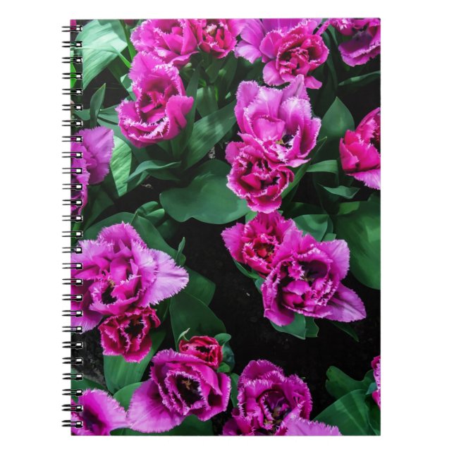 Cuaderno Flores de tulipanes rosados (Frente)