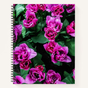 Cuaderno Flores de tulipanes rosados