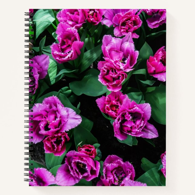 Cuaderno Flores de tulipanes rosados (Anverso)