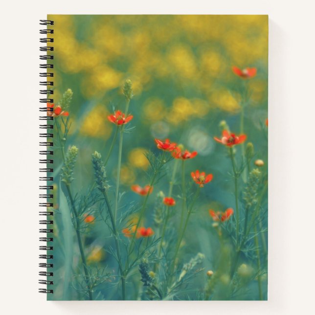 Cuaderno Flores de verano (Campo floral) (Flores rojas) (Anverso)