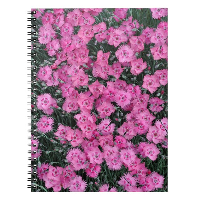 Cuaderno Flores de william dulce rosa (Frente)