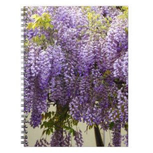 Cuaderno Flores de Wisteria Violeta