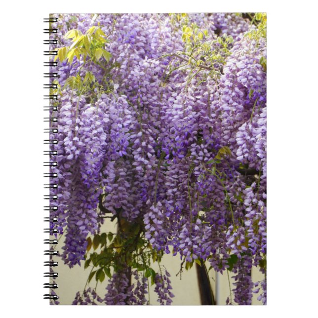 Cuaderno Flores de Wisteria Violeta (Frente)