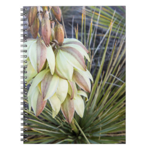 Cuaderno Flores de Yucca en el Alto Missouri