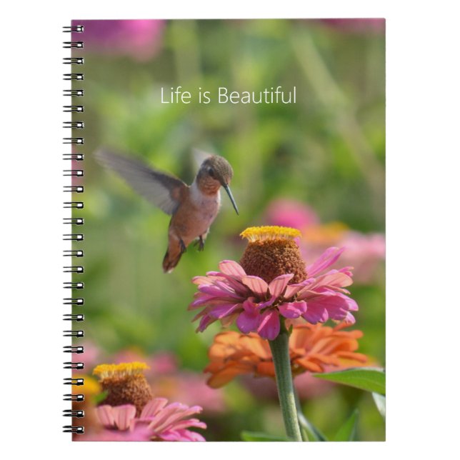 Cuaderno Flores de Zinnia Colibrí (mi fotografía) (Frente)