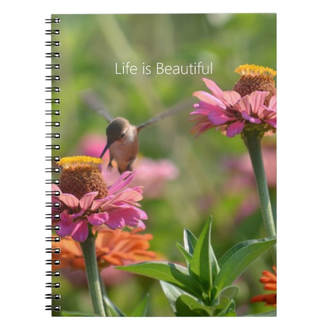 Cuaderno Flores de Zinnia Rosa Colibrí (mi fotografía) (Frente)