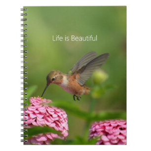 Cuaderno Flores de Zinnia Rosa Colibrí (mi fotografía)