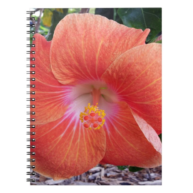 Cuaderno Flores del hibisco de Hawaii (Frente)