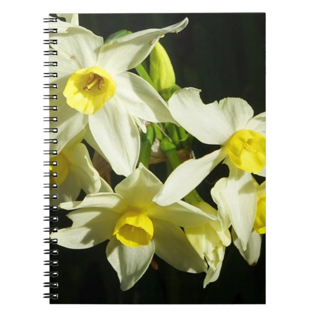 Cuaderno Flores del invierno (Frente)