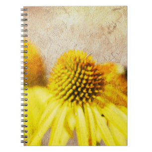 Cuaderno Flores Echinacea de verano