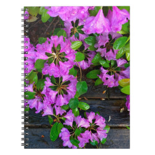 Cuaderno Flores elegantes rosas azaleas rosas