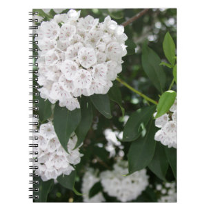 Cuaderno Flores en forma de Estrella de la Montaña Blanca