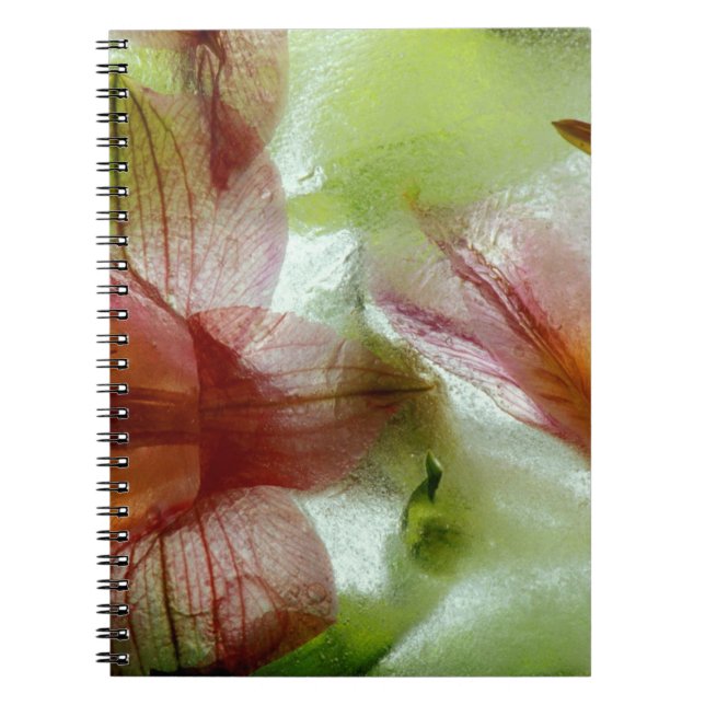 Cuaderno Flores en hielo (Frente)