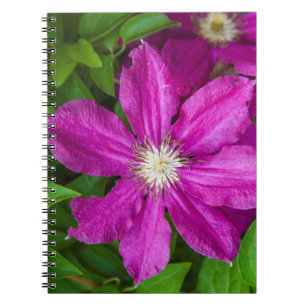 Cuaderno Flores en Robinette's Apple Haus and Gift Barn