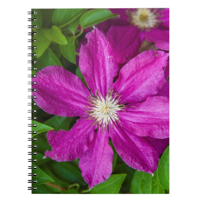 Cuaderno Flores en Robinette's Apple Haus and Gift Barn (Frente)