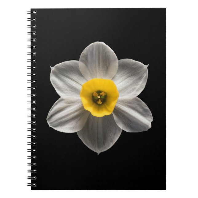 Cuaderno Flores | Flor de Daffodil blanca (Frente)