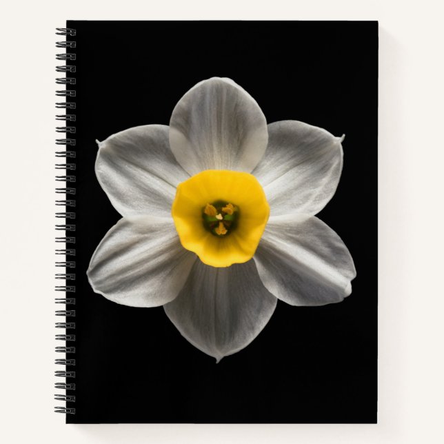 Cuaderno Flores | Flor de Daffodil blanca (Anverso)