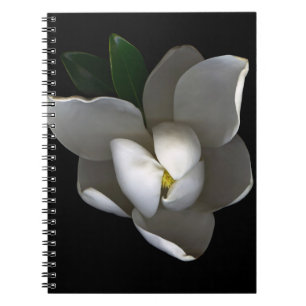 Cuaderno Flores   Flor de magnolia blanca única