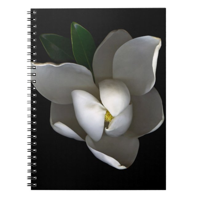 Cuaderno Flores | Flor de magnolia blanca única (Frente)