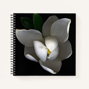 Cuaderno Flores   Flor de magnolia blanca única