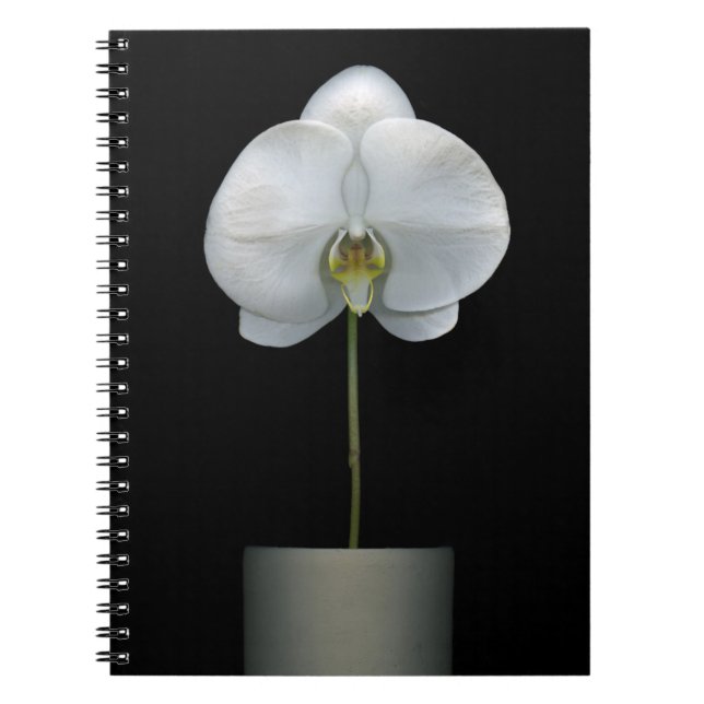 Cuaderno Flores | Flor de orquídeas blancas (Frente)