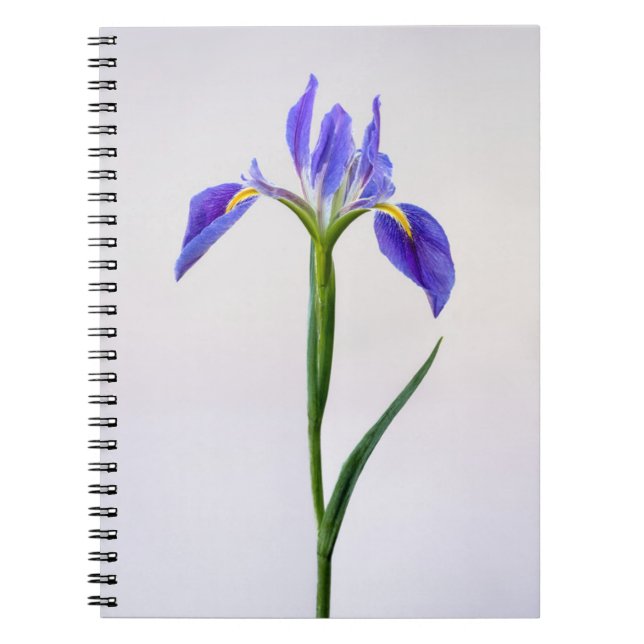 Cuaderno Flores | Flor Iris Púrpura (Frente)