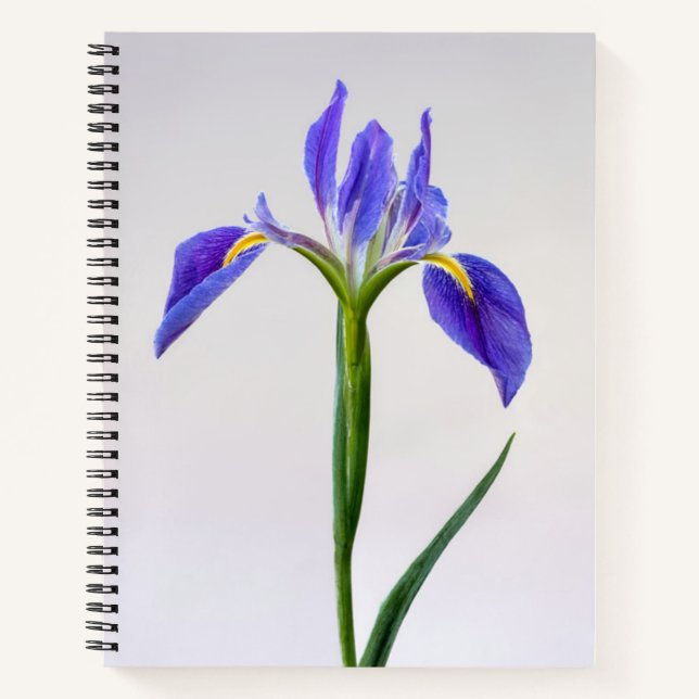 Cuaderno Flores | Flor Iris Púrpura (Anverso)
