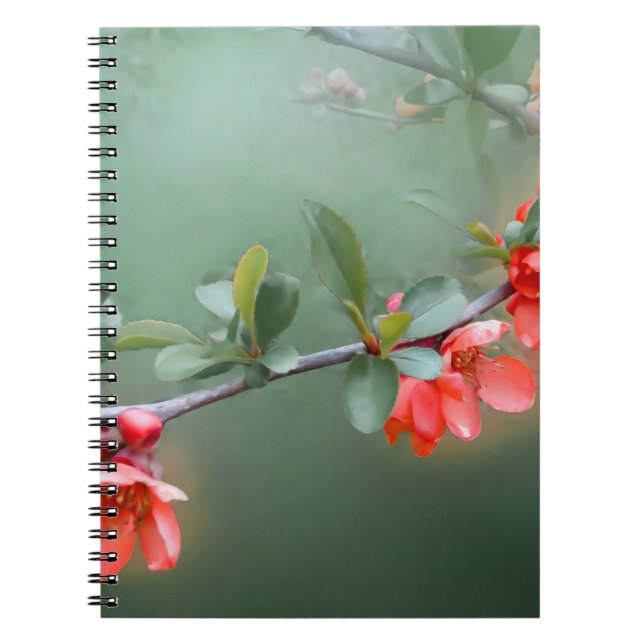 Cuaderno Flores florales primavera del matorral de membrill (Frente)