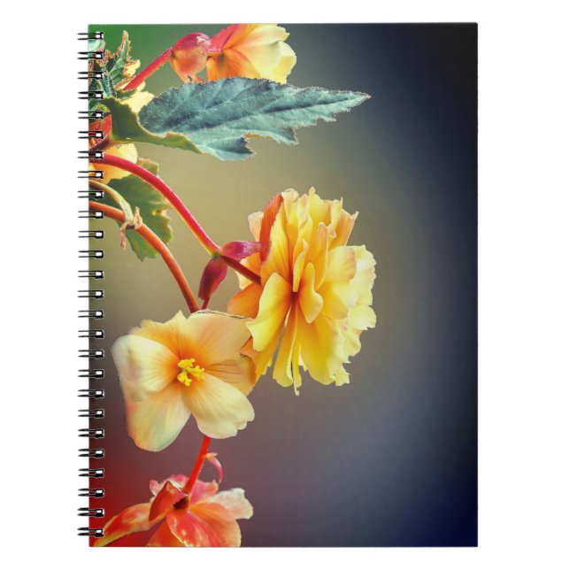 Cuaderno Flores, flores amarillas, Petals-63158 (Frente)