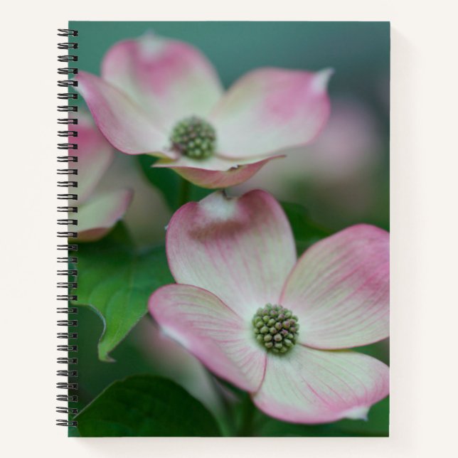 Cuaderno Flores | Flores de dogwood (Anverso)