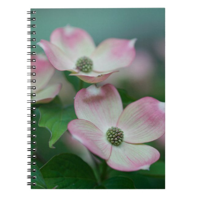 Cuaderno Flores | Flores de dogwood (Frente)