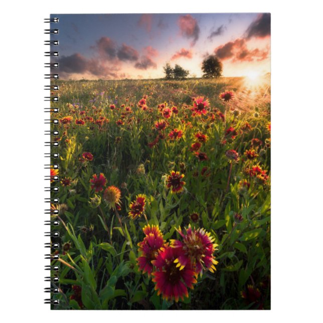 Cuaderno Flores | Indio Blanket Wildflower Texas (Frente)