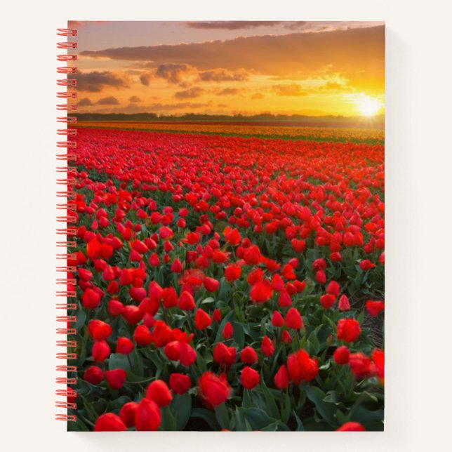 Cuaderno Flores | Jardín Botánico Holanda (Anverso)