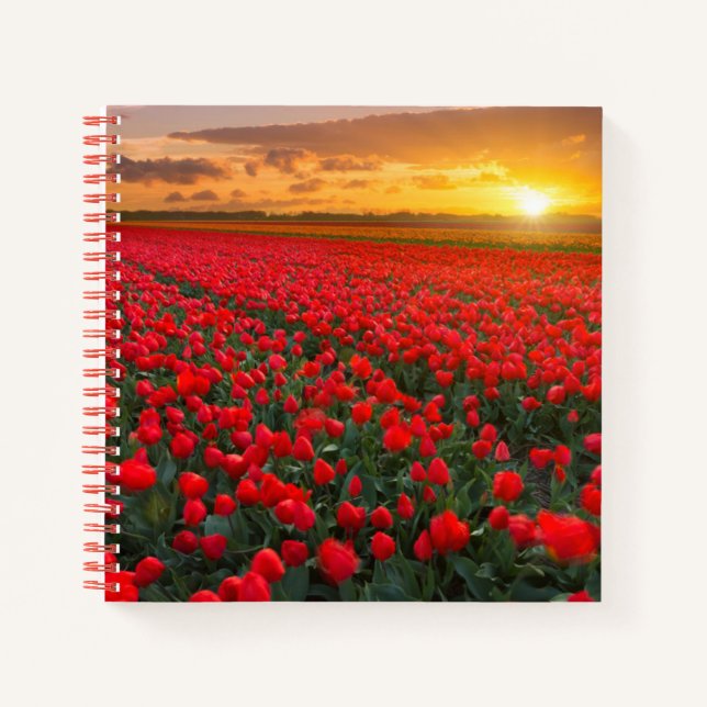 Cuaderno Flores | Jardín Botánico Holanda (Anverso)