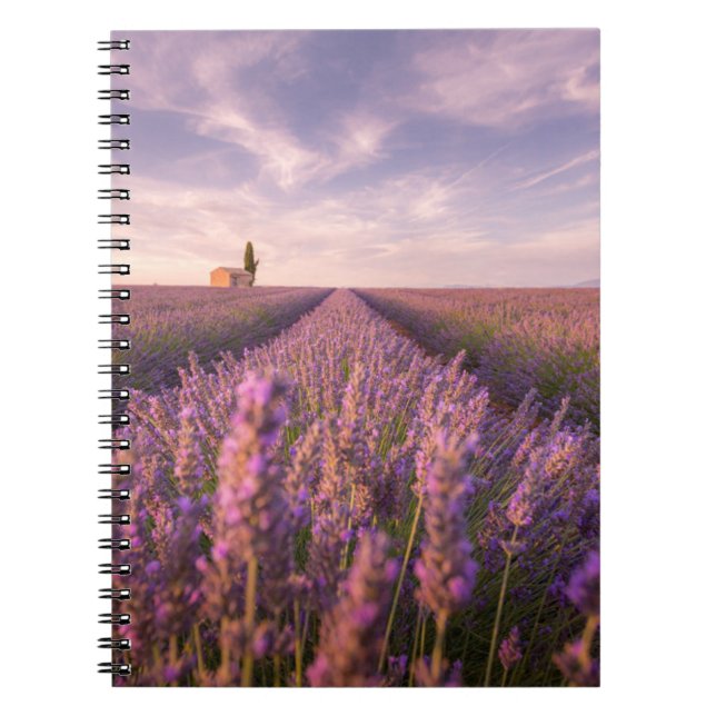 Cuaderno Flores | Lavender Southern France (Frente)