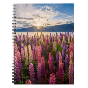 Cuaderno Flores Lupines New Zealand