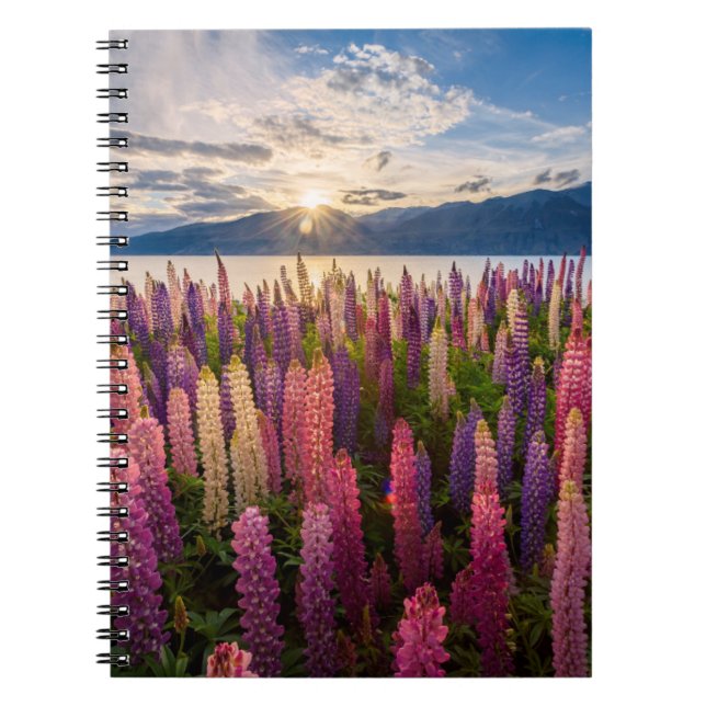 Cuaderno Flores | Lupines New Zealand (Frente)
