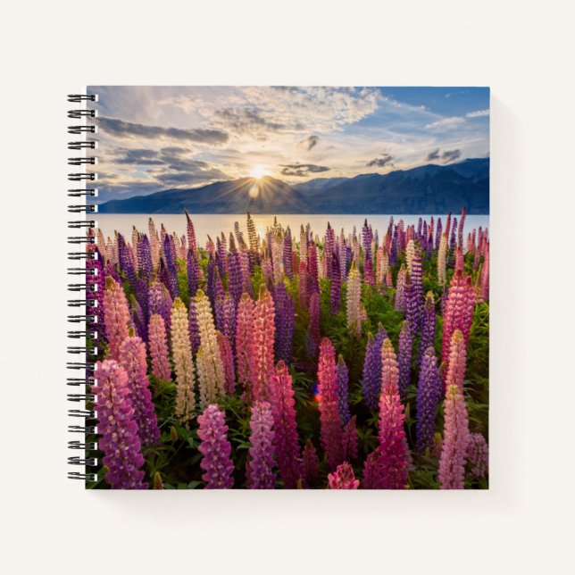 Cuaderno Flores | Lupines New Zealand (Anverso)