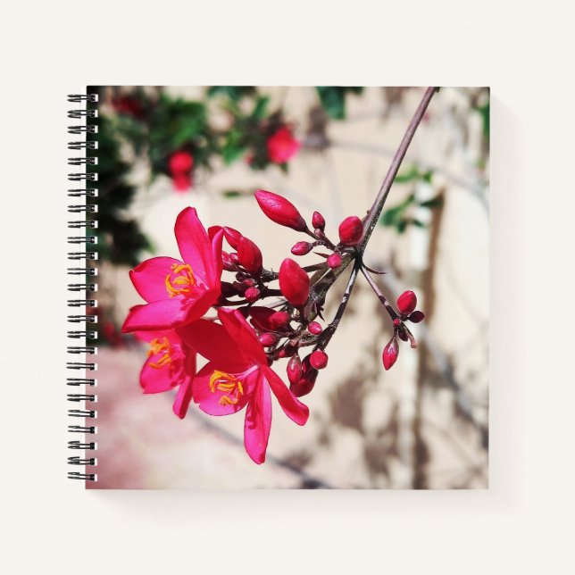 Cuaderno Flores magenta (Anverso)