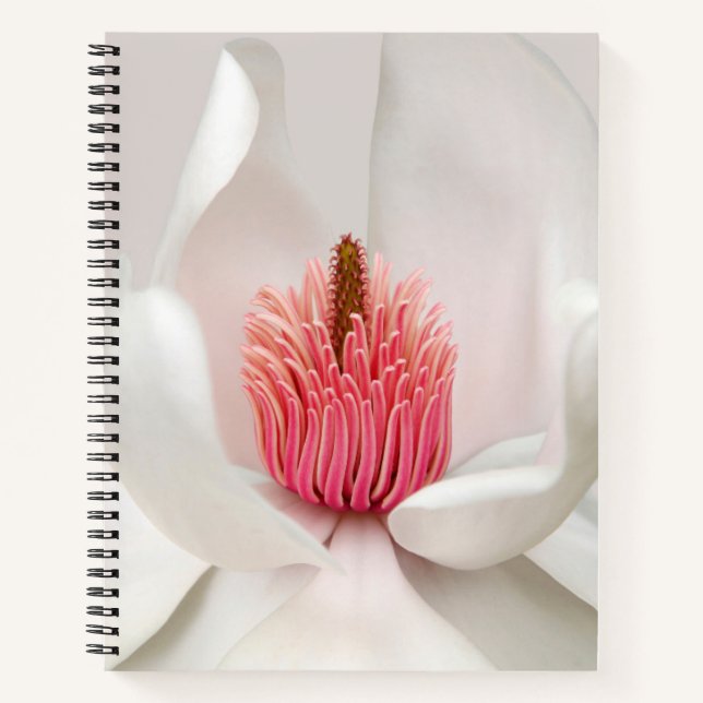 Cuaderno Flores | Magnolia blanca (Anverso)
